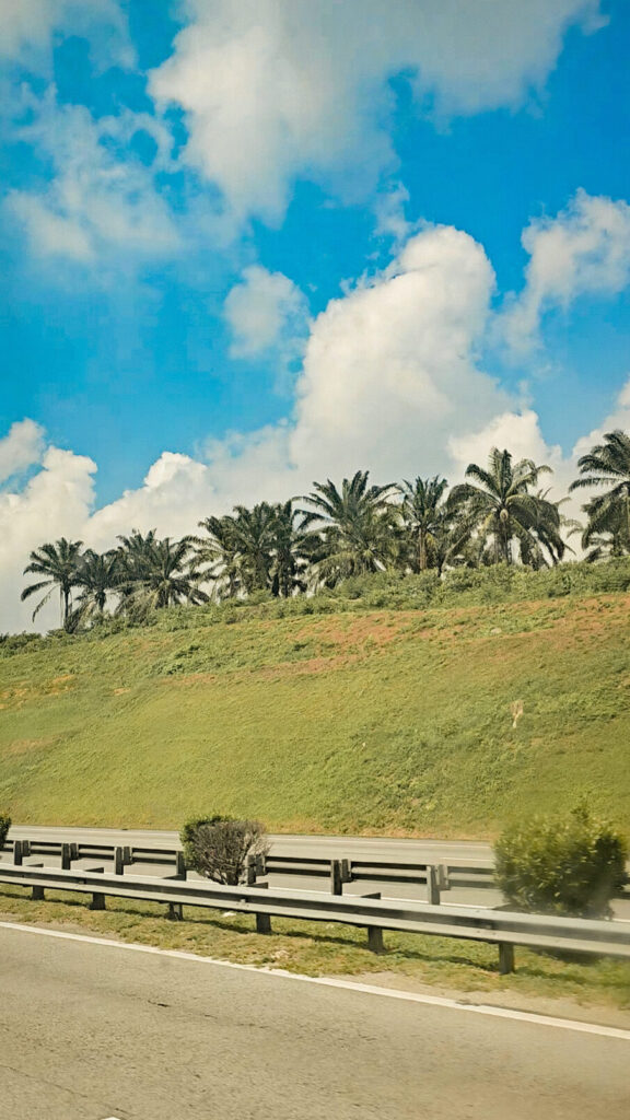Hamparan kelapa sawit pemandangan menuju Melaka